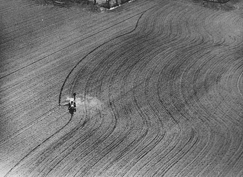 Dennis Oppenheim Directed Seeding Wheat 1969