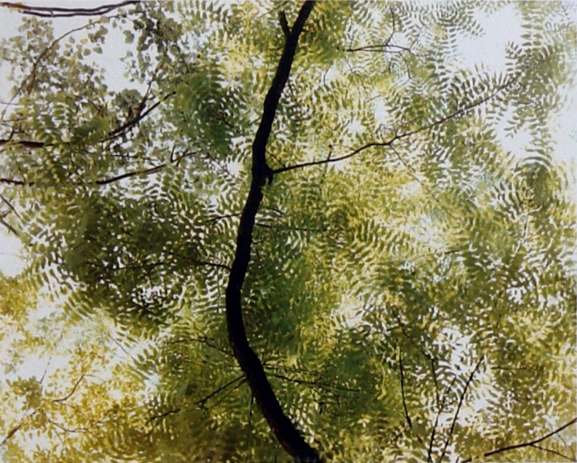 Luigi Ghirri, Ravenna, 1986.