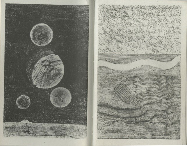 Max Ernst, Histoire Naturelle