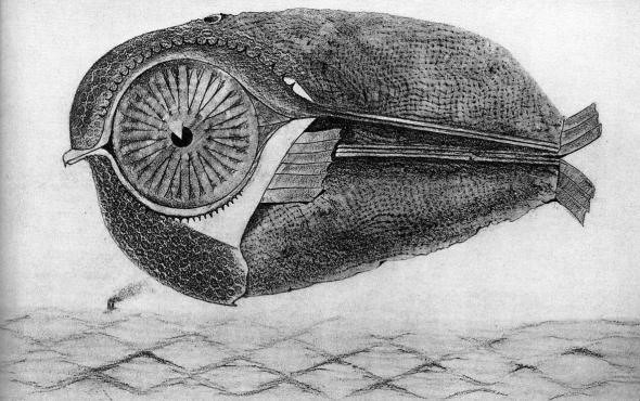 Max Ernst L’évadé da l’Histoire naturelle 1926