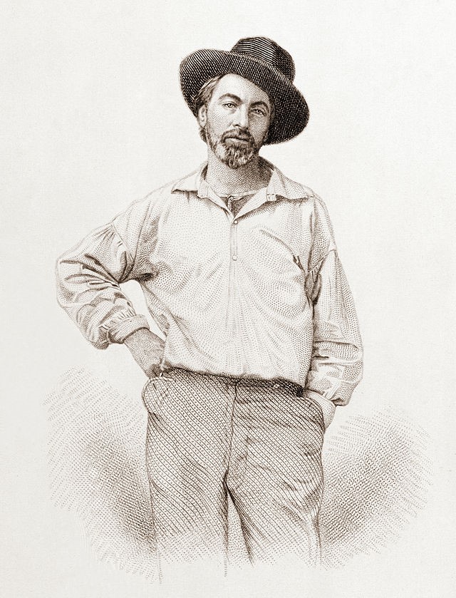 Walt Whitman, all'età di 35 anni, come appare sul frontespizio della prima edizione di Leaves of Grass (Foglie d’erba), 1855.