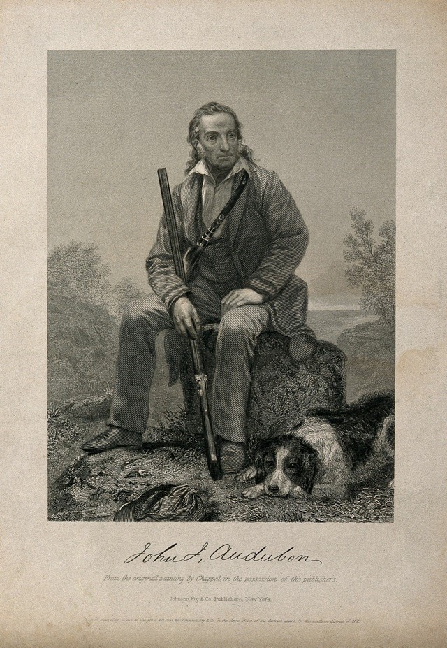 Jean-Jacques Audubon (1785-1851), in una incisione tratta da un dipinto di Alonzo Chappel. Il futuro ispiratore di ecologisti e paladini dell’ambiente, era un cacciatore spietato. Non vi era quasi giorno non facesse strage di volatili, resi in questo modo più docili ai bisogni teatrali del suo talento pittorico.