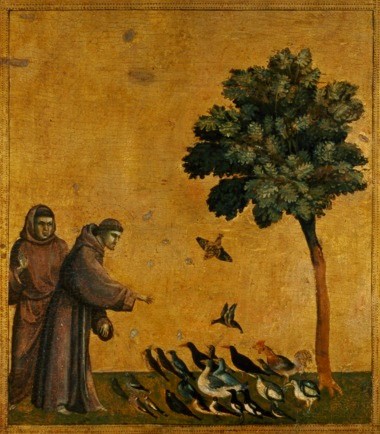 7.San Francesco predica agli uccelli